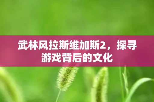 武林风拉斯维加斯2图片