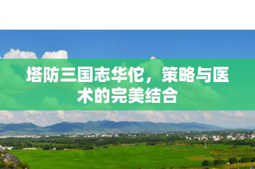 策略与医术的完美结合图片