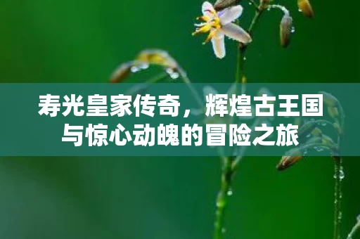 辉煌古王国与惊心动魄的冒险之旅图片
