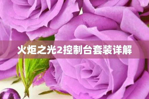 火炬之光2控制台套装详解图片