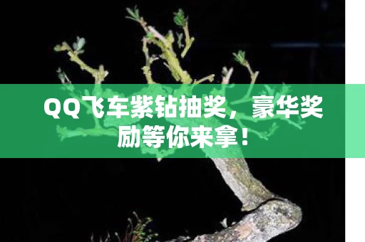QQ飞车紫钻抽奖图片
