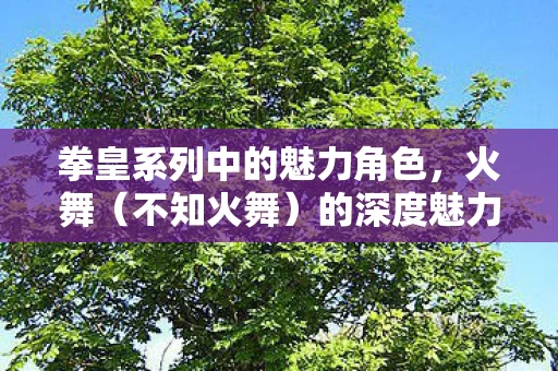 拳皇系列中的魅力角色图片
