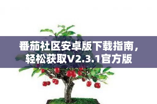 番茄社区安卓版下载指南图片