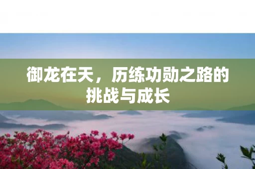 历练功勋之路的挑战与成长图片