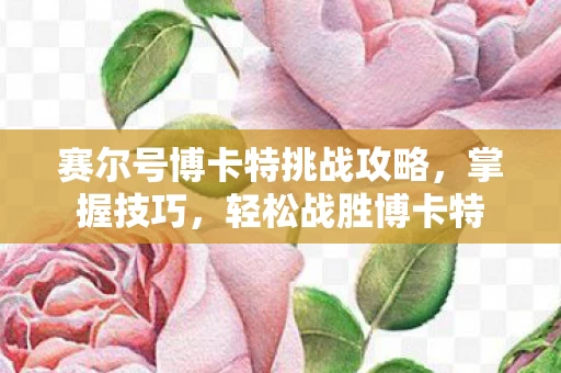 赛尔号博卡特挑战攻略图片