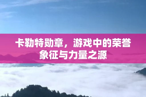 游戏中的荣誉象征与力量之源图片