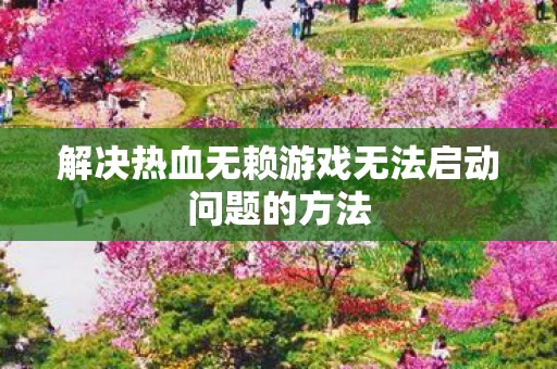 解决热血无赖游戏无法启动问题的方法图片