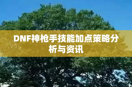 DNF神枪手技能加点策略分析与资讯图片