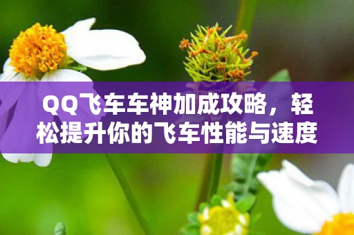 轻松提升你的飞车性能与速度图片