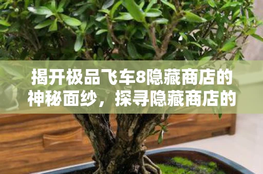 揭开极品飞车8隐藏商店的神秘面纱图片