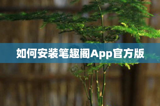 如何安装笔趣阁App官方版图片