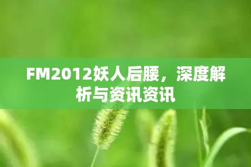 FM2012妖人后腰图片