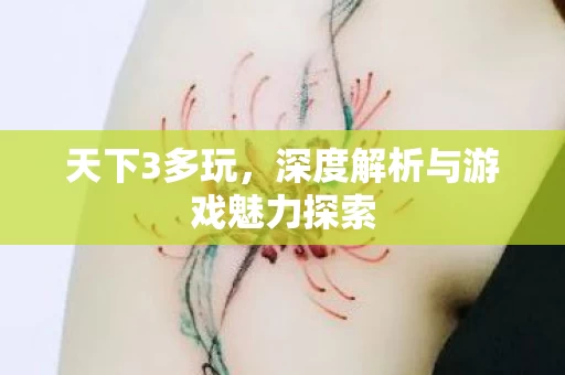 深度解析与游戏魅力探索图片