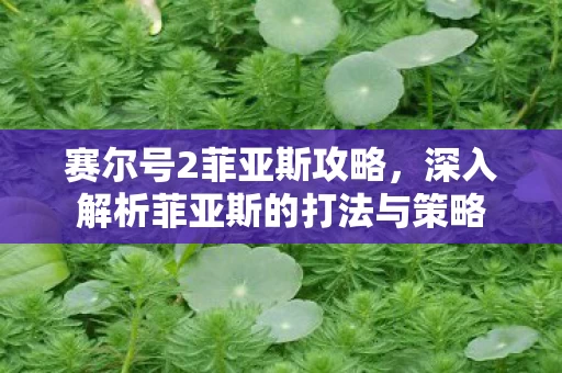 深入解析菲亚斯的打法与策略图片