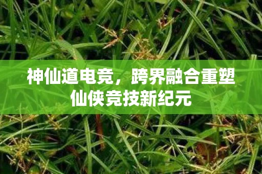 跨界融合重塑仙侠竞技新纪元图片