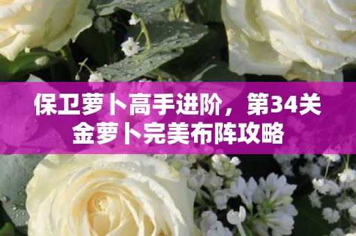 第34关金萝卜完美布阵攻略图片