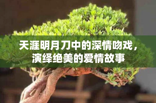 天涯明月刀中的深情吻戏图片