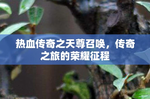 热血传奇之天尊召唤图片