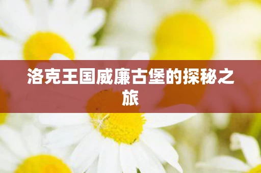 洛克王国威廉古堡的探秘之旅图片