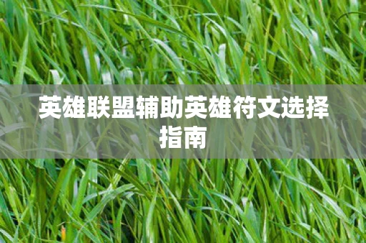 英雄联盟辅助英雄符文选择指南图片