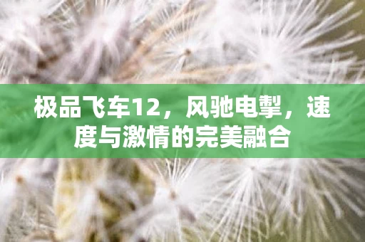 速度与激情的完美融合图片