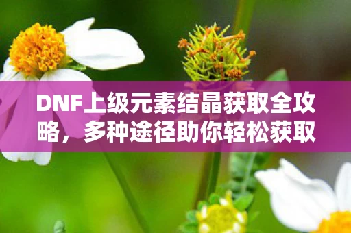 DNF上级元素结晶获取全攻略图片