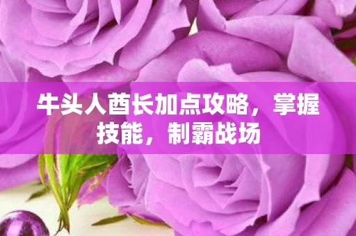 牛头人酋长加点攻略图片