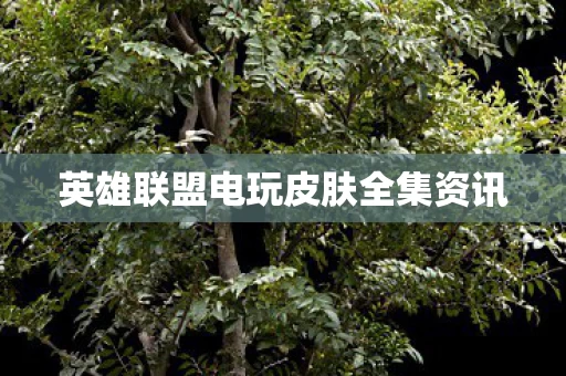 英雄联盟电玩皮肤全集资讯图片
