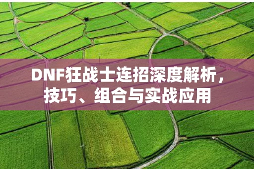 DNF狂战士连招深度解析图片
