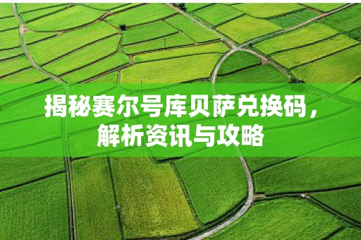 揭秘赛尔号库贝萨兑换码图片