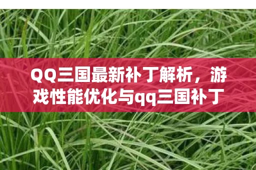 游戏性能优化与qq三国补丁深度探讨图片