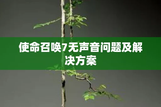 使命召唤7无声音问题及解决方案图片