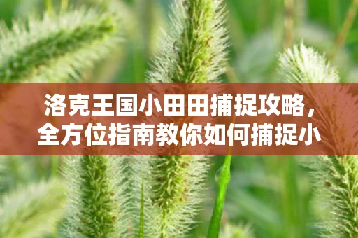 全方位指南教你如何捕捉小田田图片
