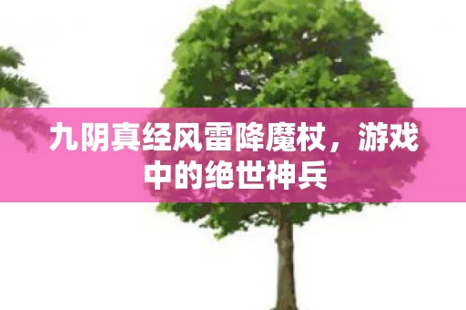 九阴真经风雷降魔杖图片