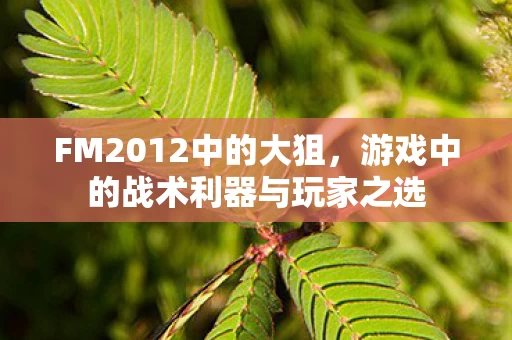 游戏中的战术利器与玩家之选图片