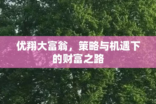 策略与机遇下的财富之路图片