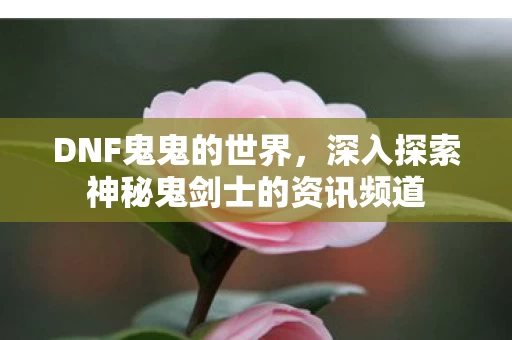 深入探索神秘鬼剑士的资讯频道图片