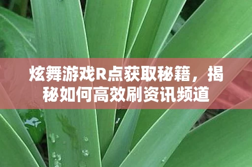 揭秘如何高效刷资讯频道图片
