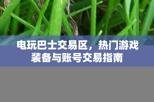 热门游戏装备与账号交易指南图片