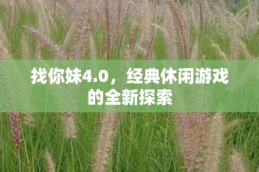 经典休闲游戏的全新探索图片