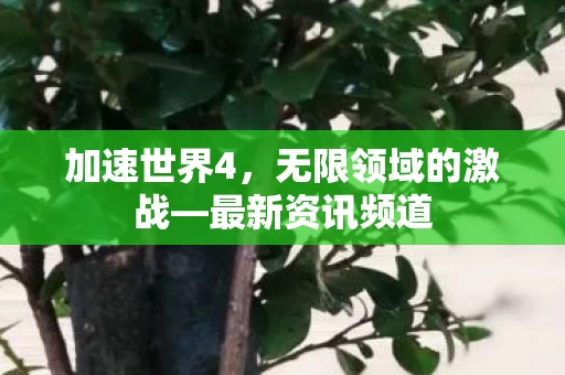 无限领域的激战图片