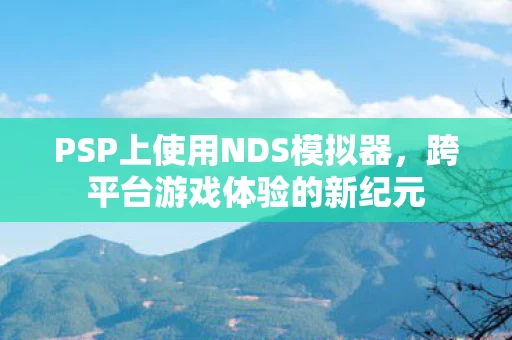 PSP上使用NDS模拟器图片