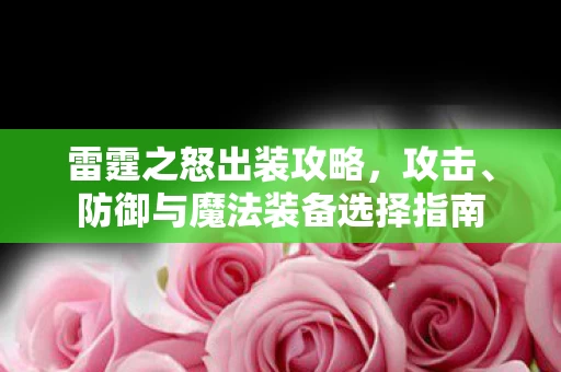 防御与魔法装备选择指南图片