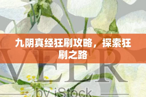 九阴真经狂刷攻略图片