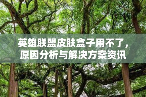 英雄联盟皮肤盒子用不了图片