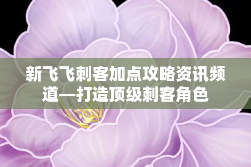 新飞飞刺客加点攻略资讯频道图片