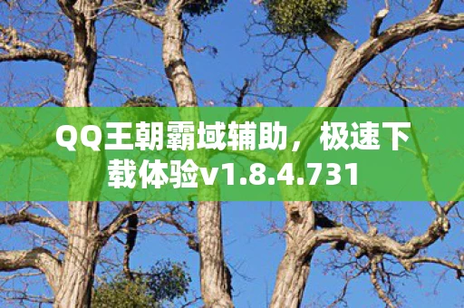 QQ王朝霸域辅助图片