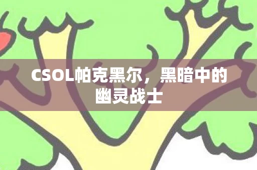 CSOL帕克黑尔图片