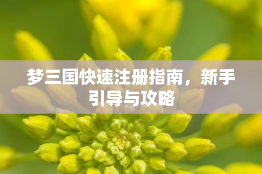 梦三国快速注册指南图片