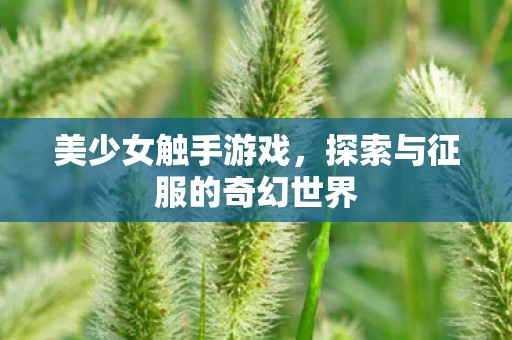 探索与征服的奇幻世界图片